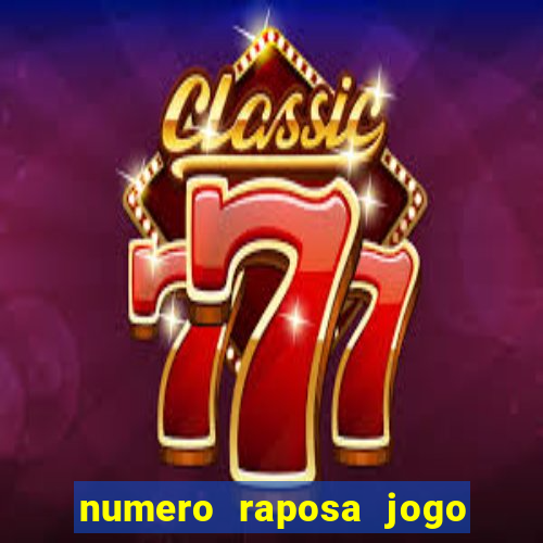 numero raposa jogo do bicho